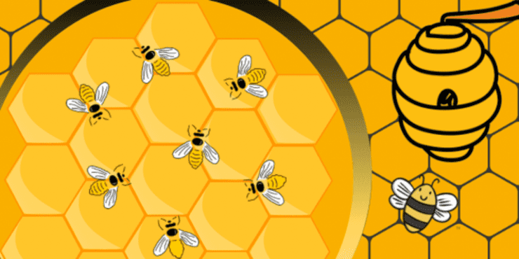 World Bee Day 21 Event Info And Resources World Bee Day 21 Event Info And Resources