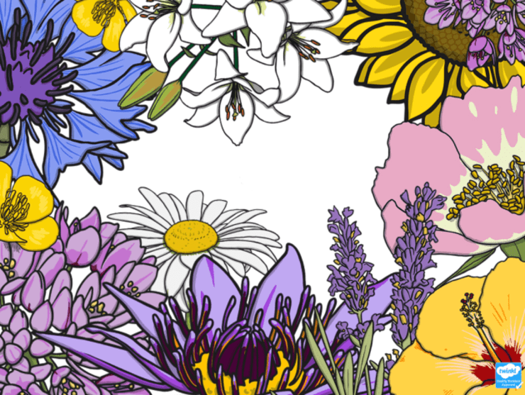 Mother's Day Malta resources and events information Twinkl