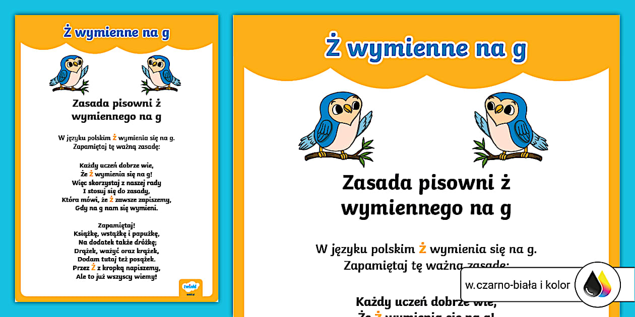 s-wka-ortografka-wymienne-na-g-plakat-teacher-made