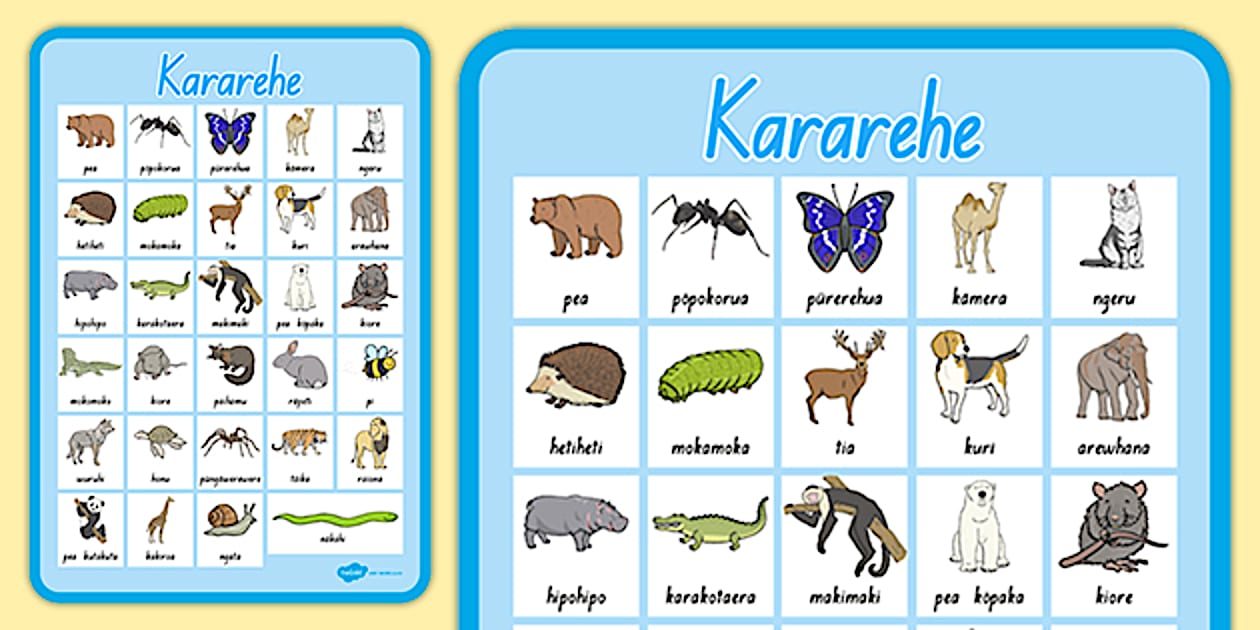 Animals Display Poster (teacher made) - Twinkl