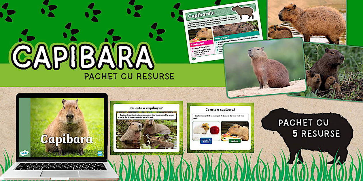 Capibara – Pachet cu resurse 6-9 ani