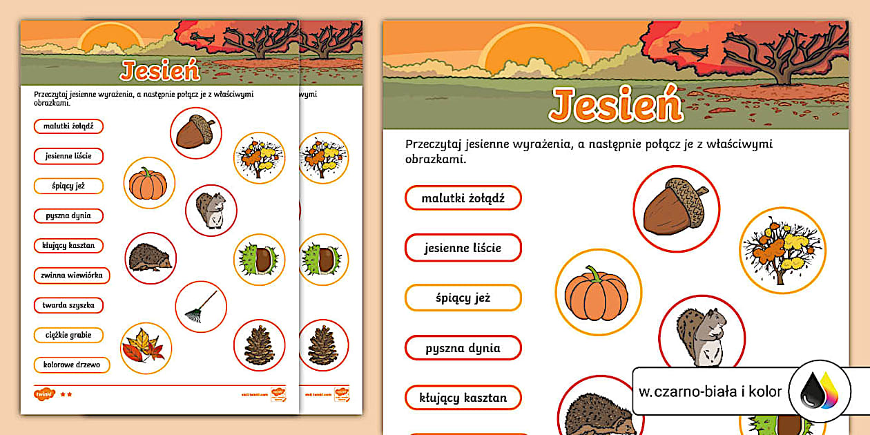 Jesień | Połącz obrazek ze słowem | Karta pracy - Twinkl