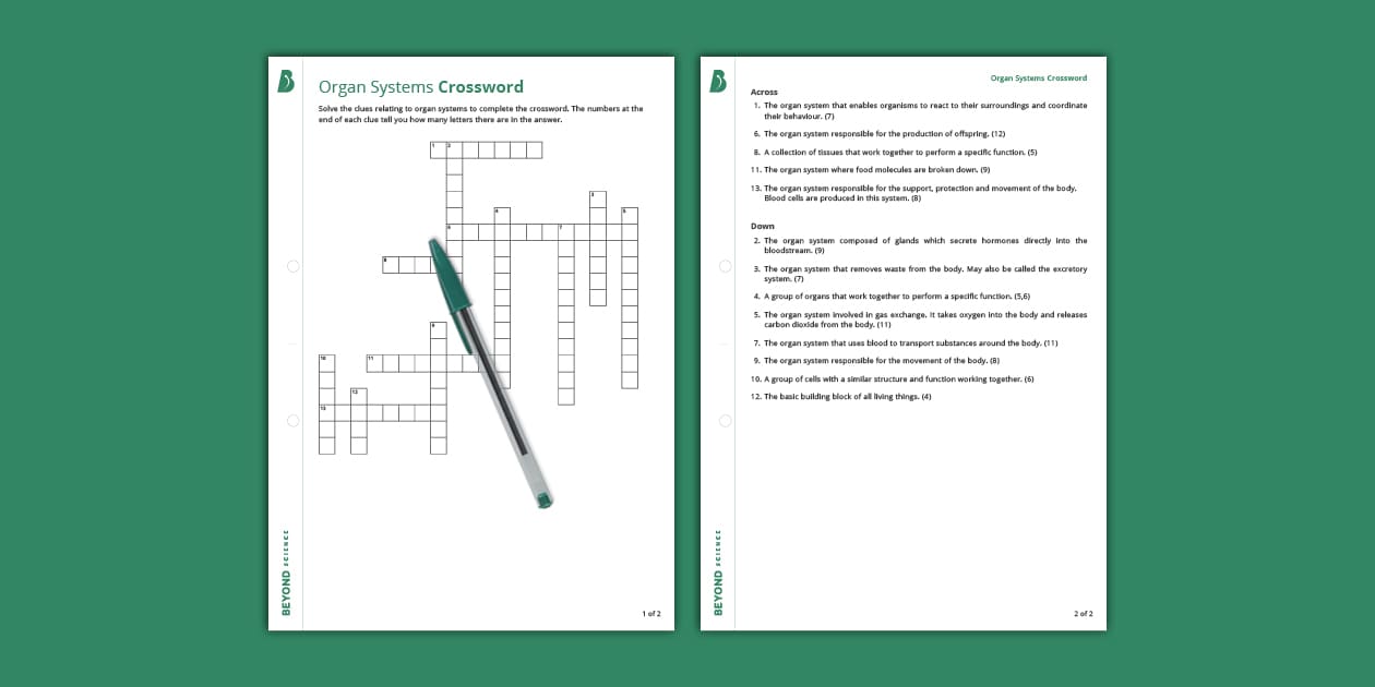 KS3 Organ Systems Crossword Biology Beyond Science