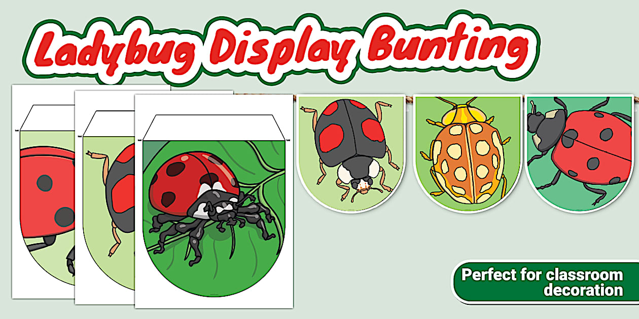 Ladybug Display Bunting