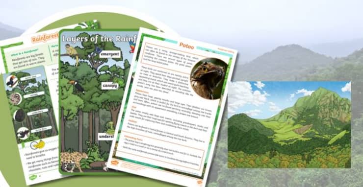 World Rainforest Day 2024, Event Information