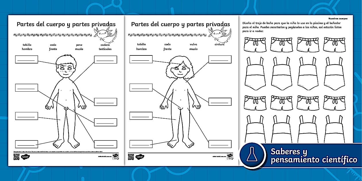 Partes del cuerpo y partes privadas