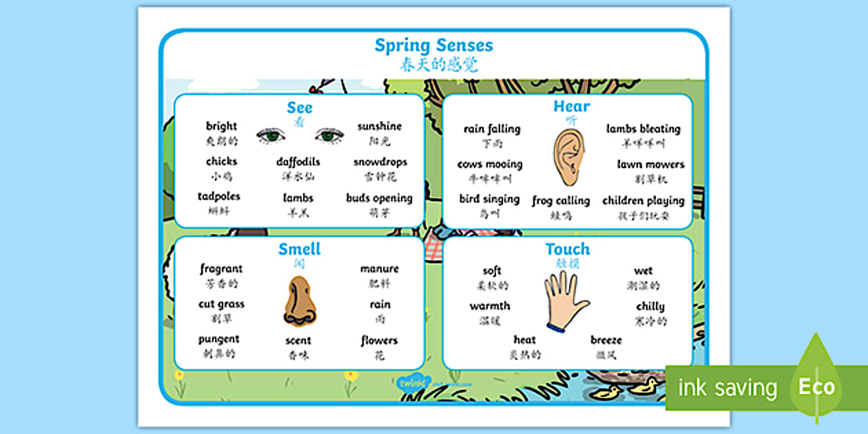 Touch Spring Word Mat Spring Themed Senses Word Mat - English/Mandarin Chinese