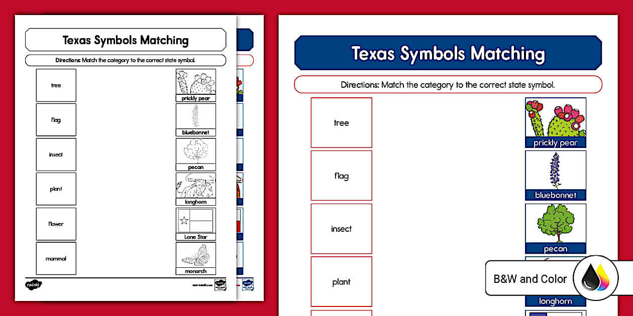 Texas Symbols Matching Activity for ELL (teacher made)