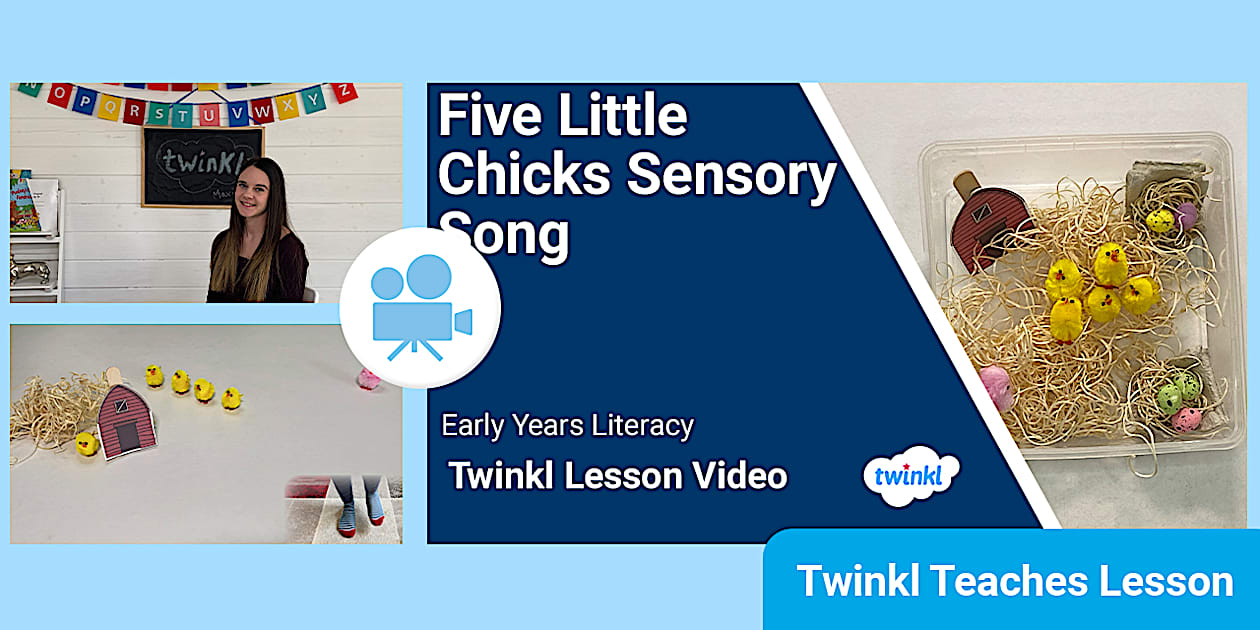 Five Little Chicks | Sensory Songs | Twinkl Video Lesson