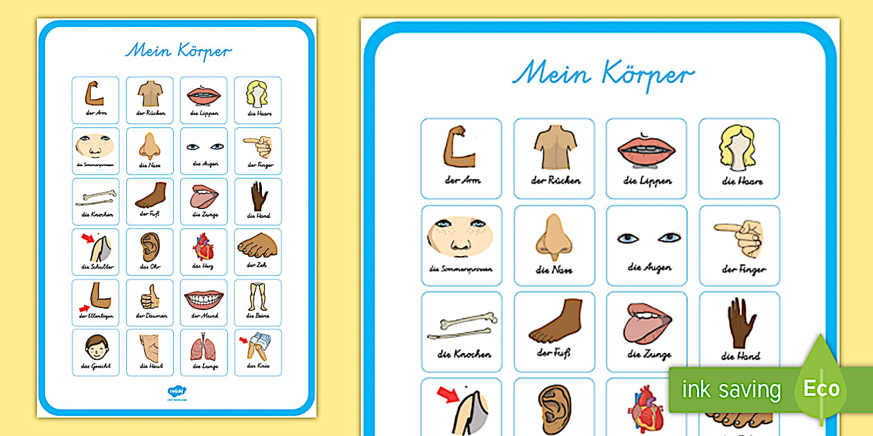Mein Körper Poster (Teacher-Made) - Twinkl
