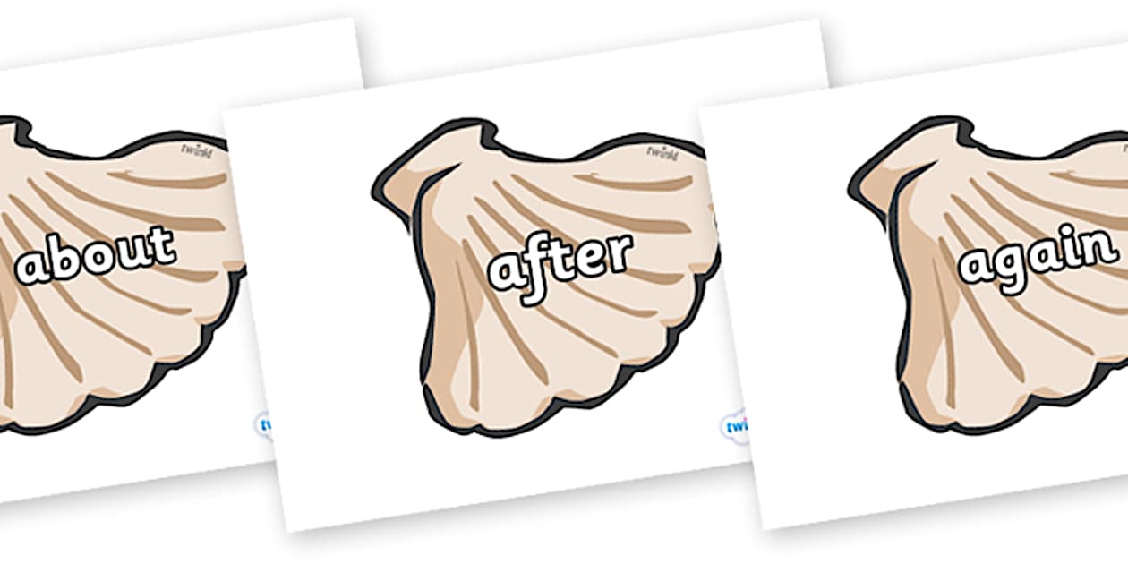 KS1 Keywords on Sea Shells (teacher made) - Twinkl