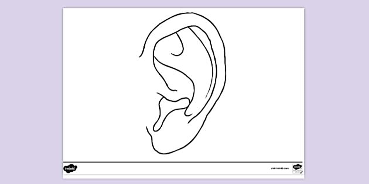 Ear Colouring Sheet (Teacher-Made) - Twinkl
