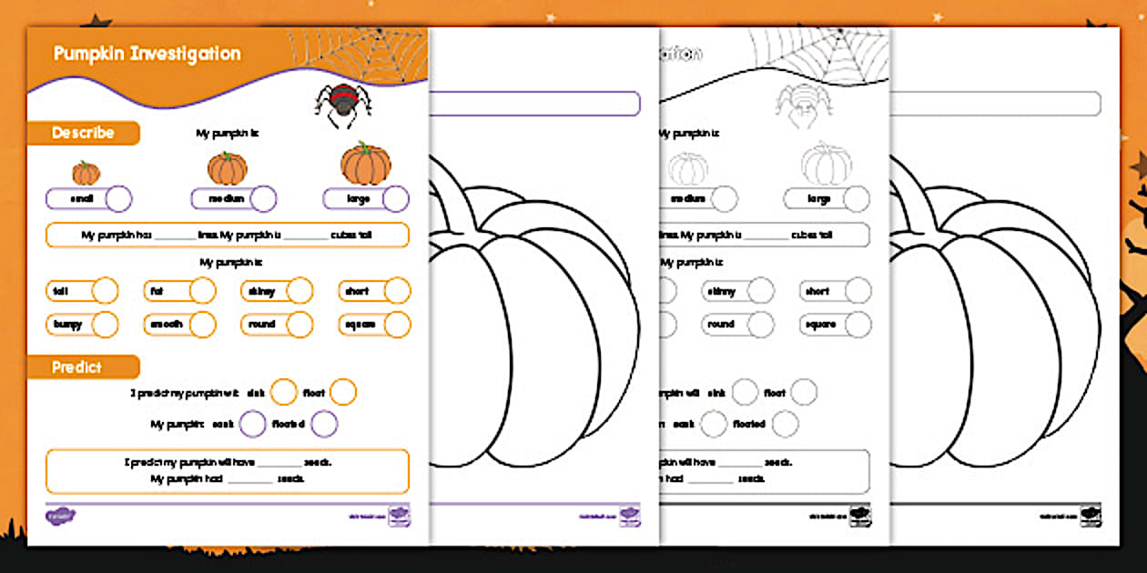 Pumpkin Investigation Worksheet Printable Twinkl