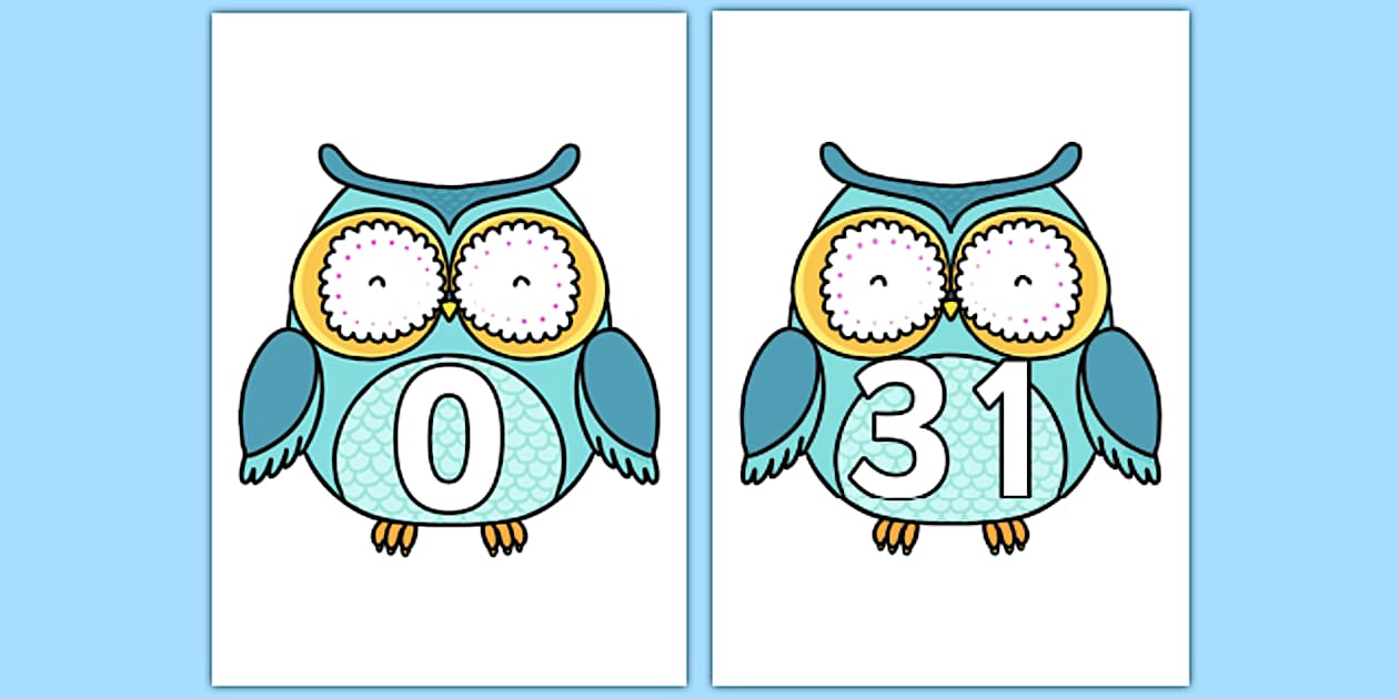 0-31 on Cute Owls (teacher made) - Twinkl