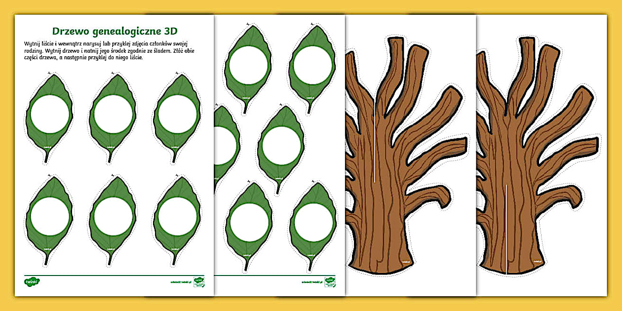 Drzewo genealogiczne 3D | Rodzina | Praca plastyczna