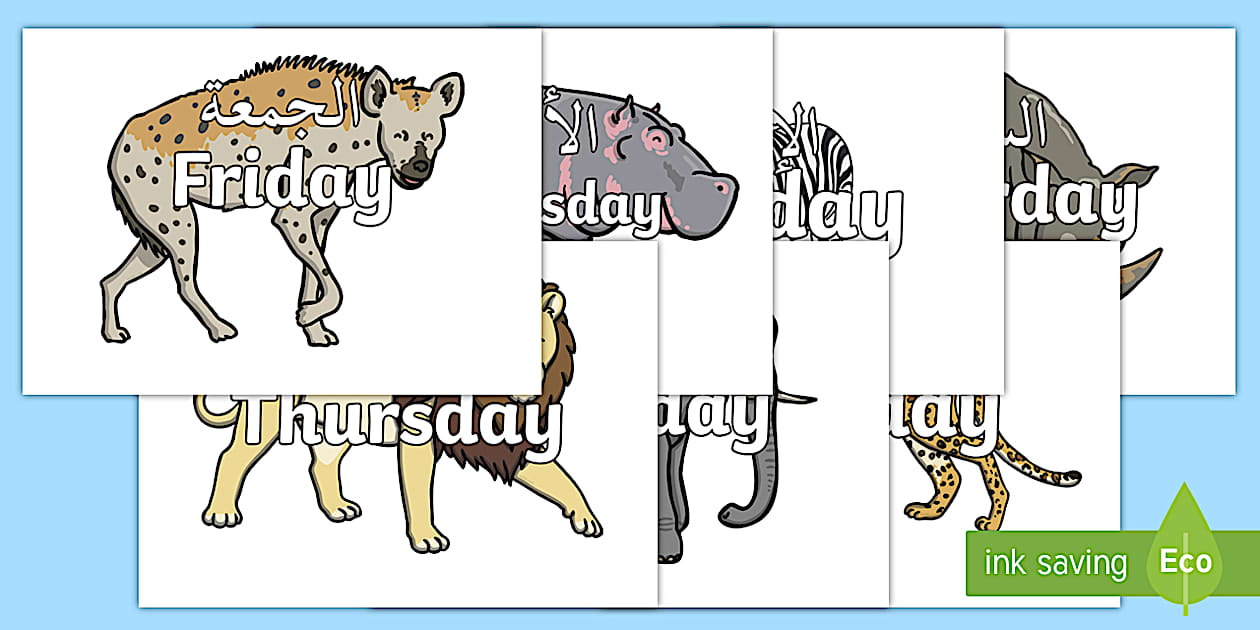 Editable Day of the Week on Safari Animals Arabic-English Display Posters