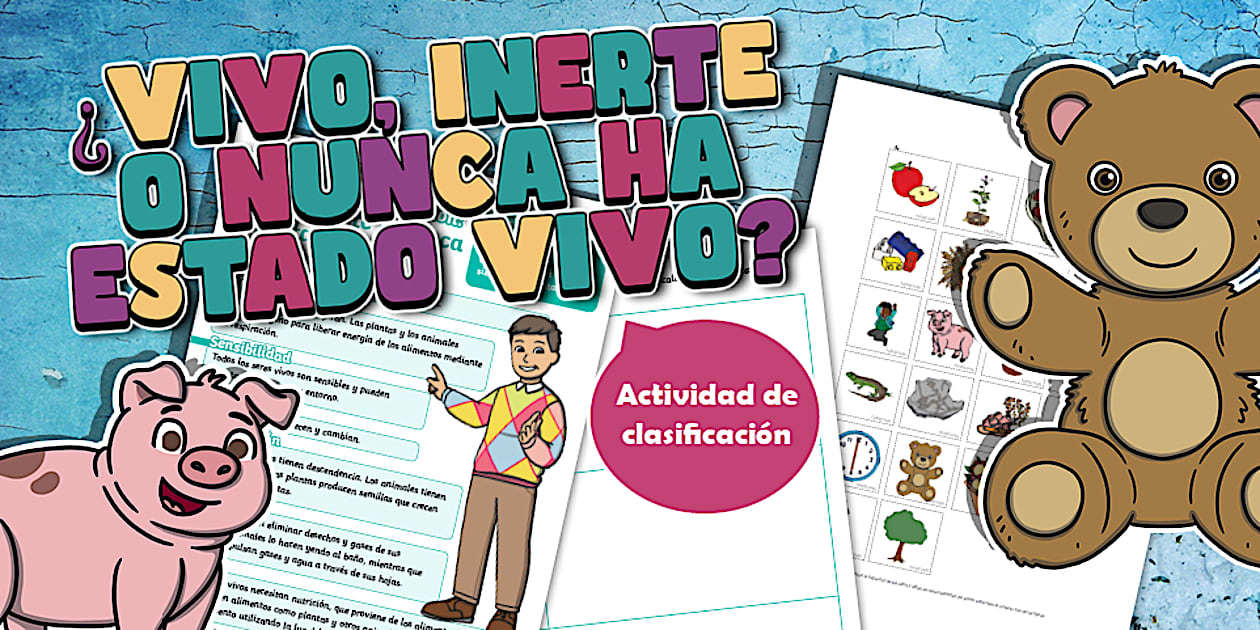 Ficha de actividad: Clasificación