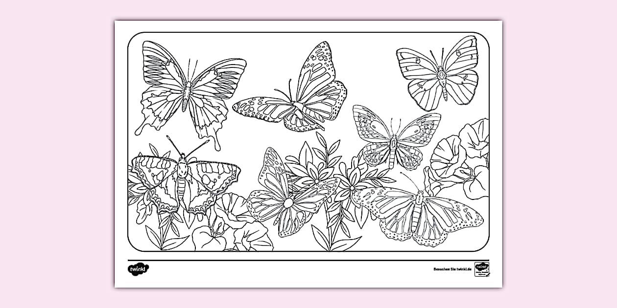  Foto zu Schmetterling - Ausmalbild (teacher made) - Twinkl 