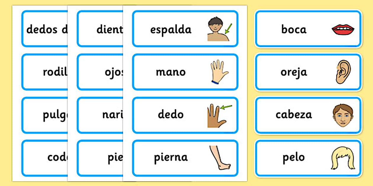 Spanish Parts of the Body Word Cards (teacher made) - Twinkl