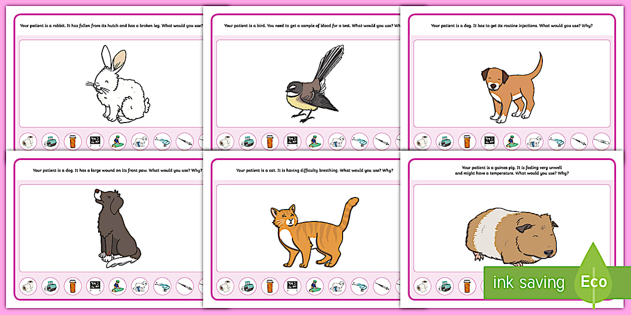 The Vets Aistear Scenario Cards (teacher made) - Twinkl