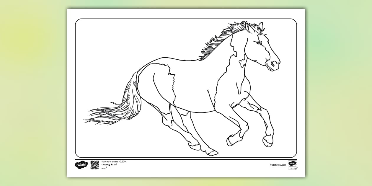 Realistic Printable Horse Colouring Pages (teacher made)