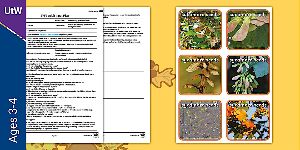 eyfs-investigating-sycamore-seeds-adult-input-plan-and-resource-pack