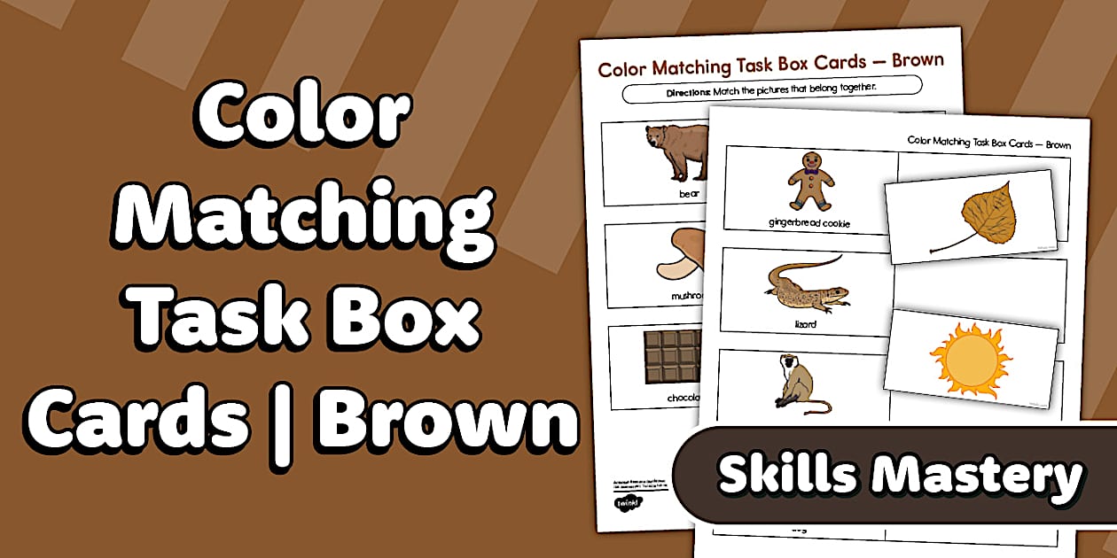 * NEW * Color Matching Task Box Cards – Brown