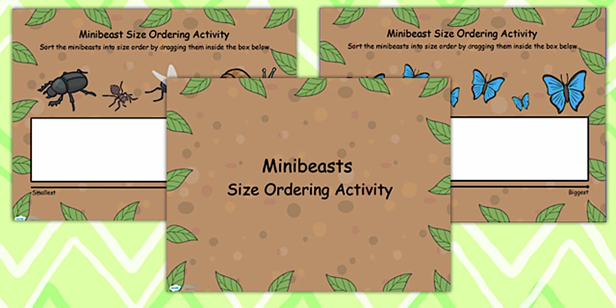 Minibeast Size Ordering Flipchart (teacher made) Twinkl