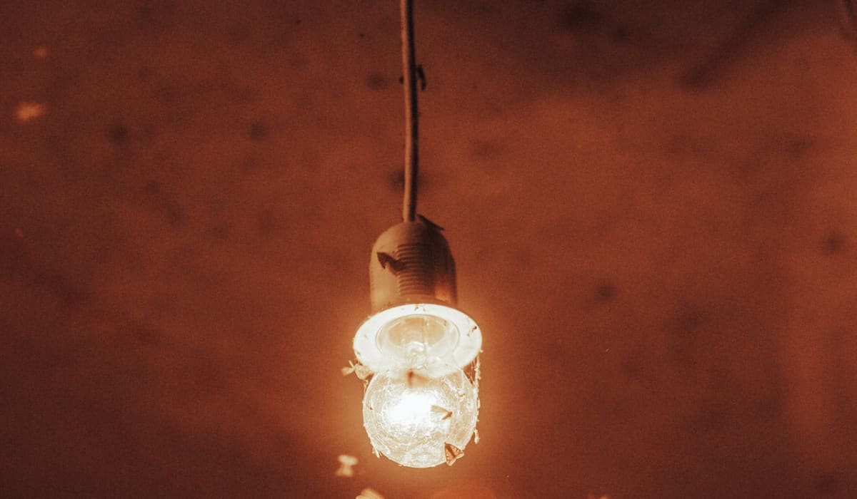 Why are Insects Drawn to Lights? - Twinkl NewsRoom - Twinkl
