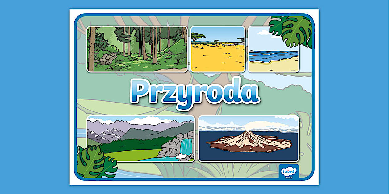 Sprawdzian Edukacja Przyrodnicza Kl 3 Rośliny Przyroda | Plakat | Edukacja przyrodnicza (teacher made)