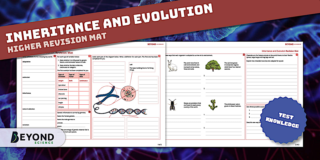 Inheritance and Evolution Revision Mat Higher