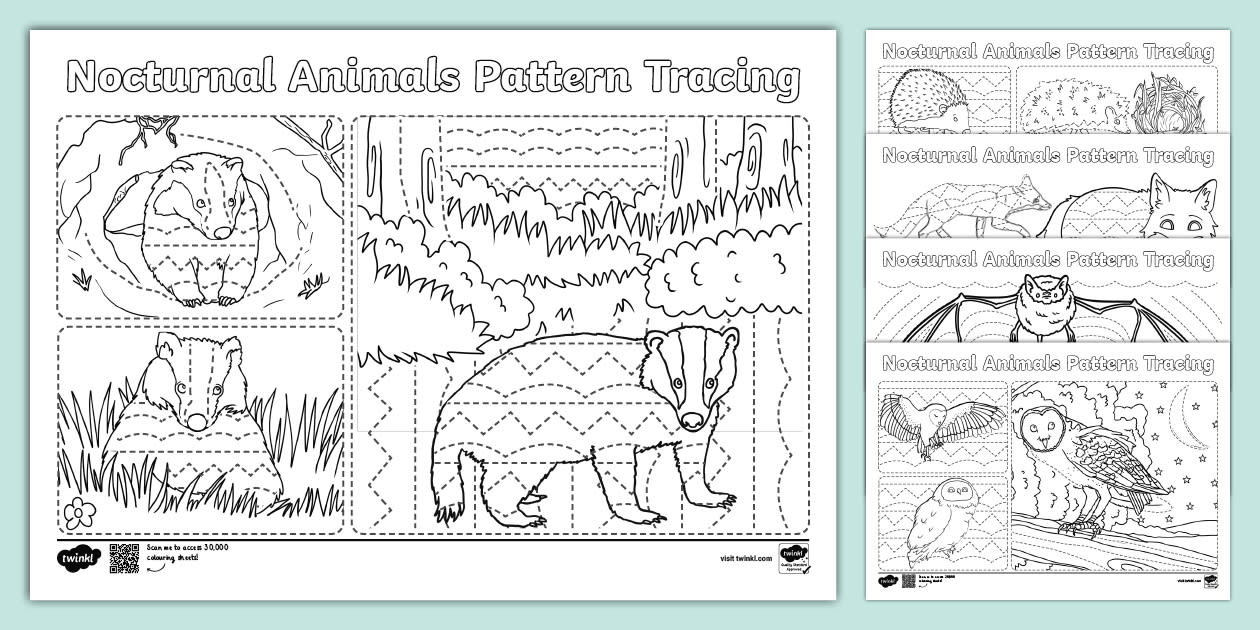 Nocturnal Animals Pattern Tracing Activity KS1 Twinkl