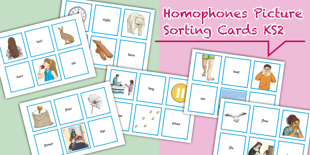 Or Picture Sort Homophones Picture Sorting Cards KS2