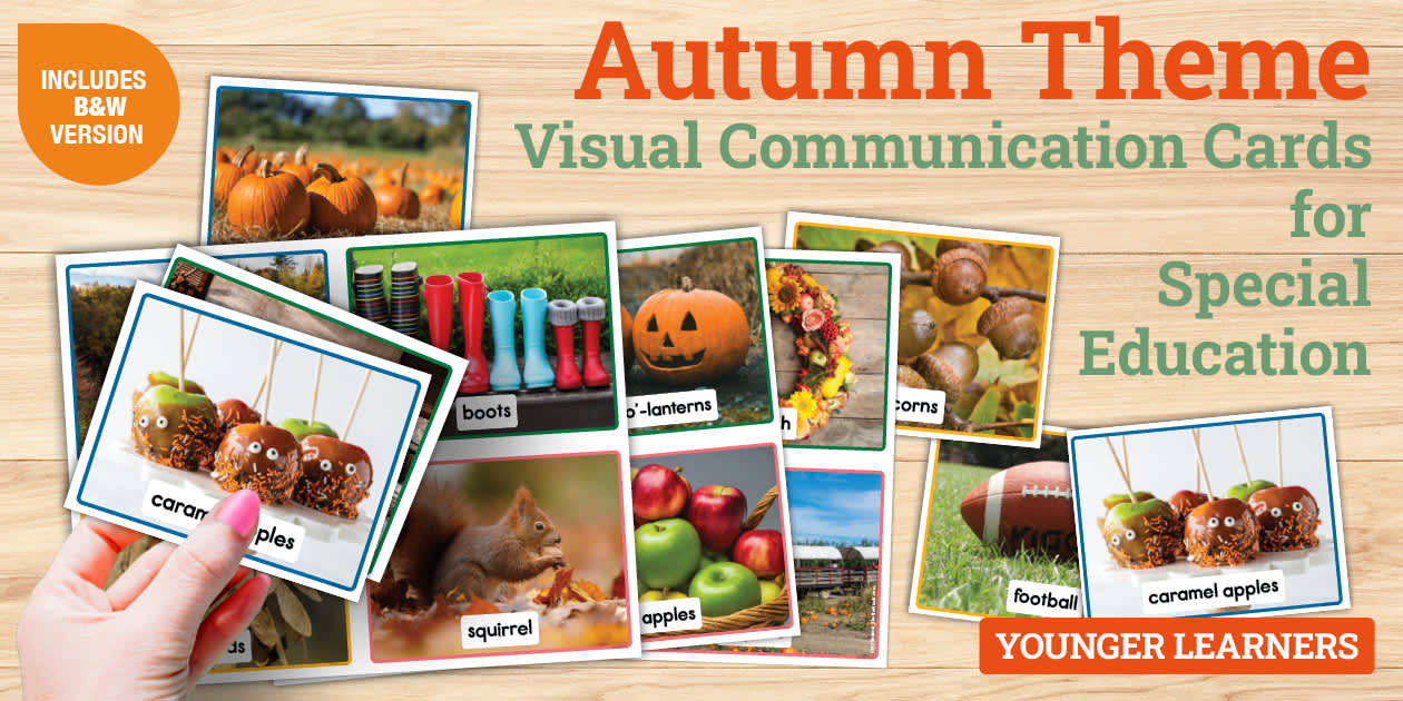 Fall Activities Visual Autumn Visual Communication Cards for Special Education