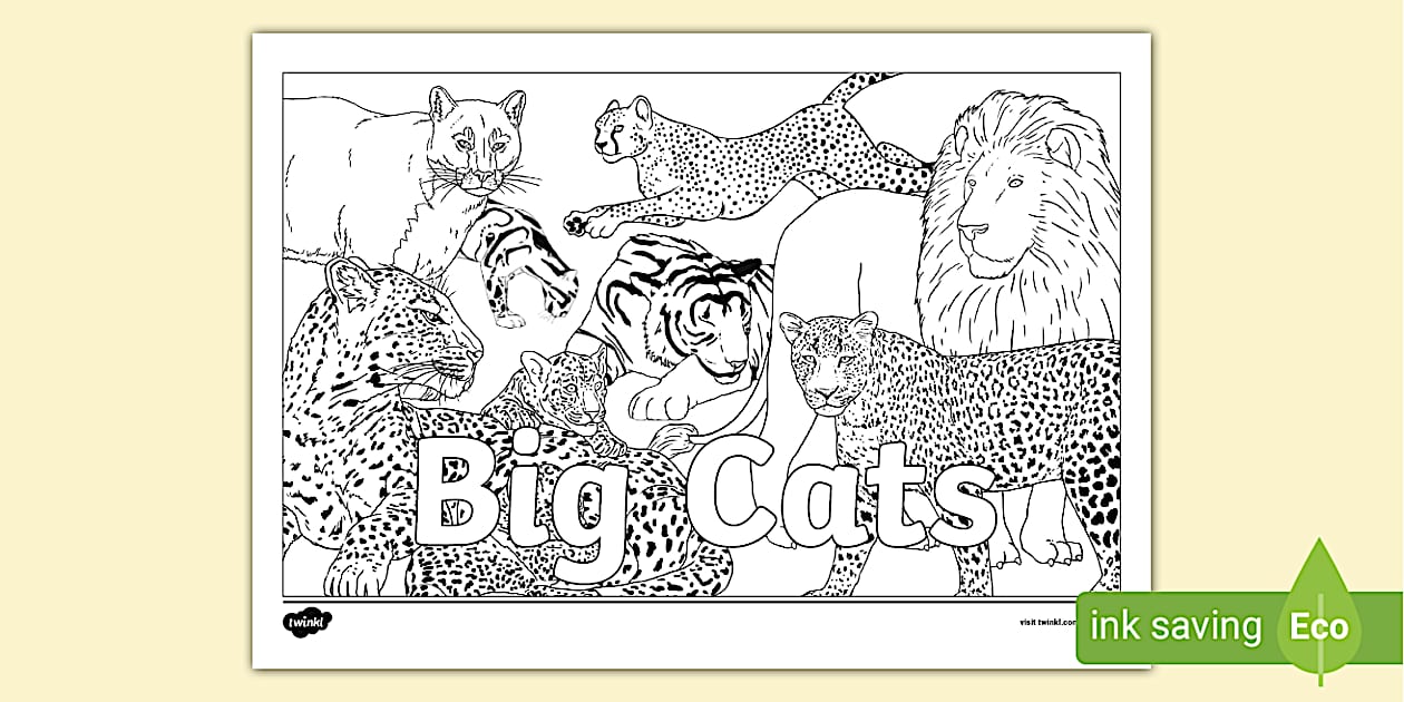 Big Cats Montage Colouring Page (teacher made) Twinkl