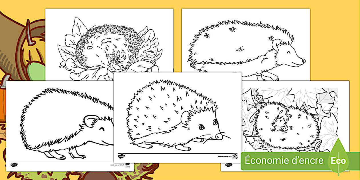 Activité de coloriage : le hérisson - Twinkl