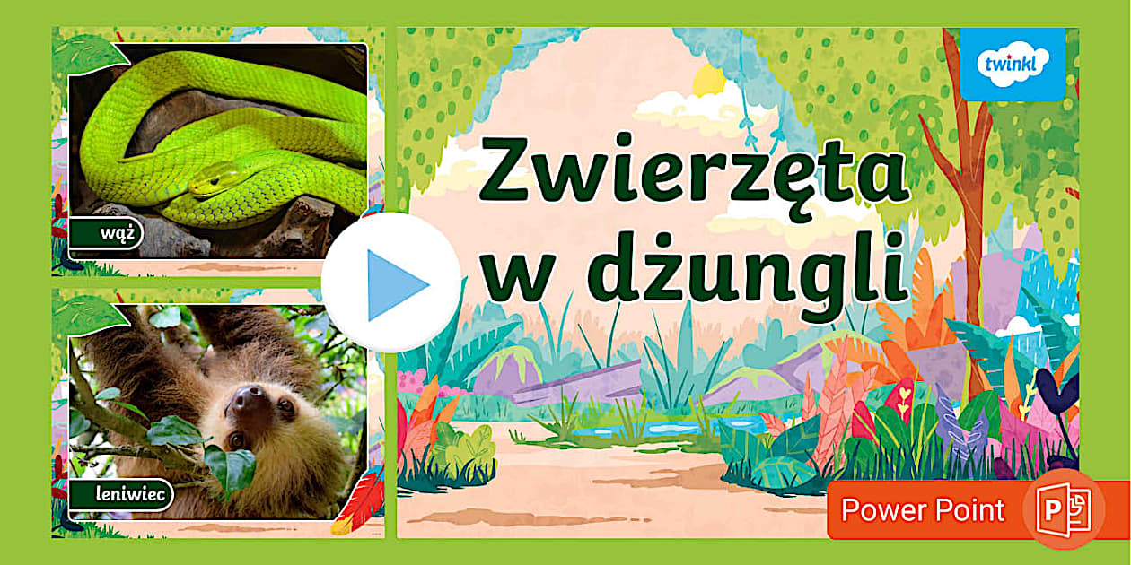 Zwierzęta w dżungli | Dzień Ziemi | Prezentacja - Twinkl