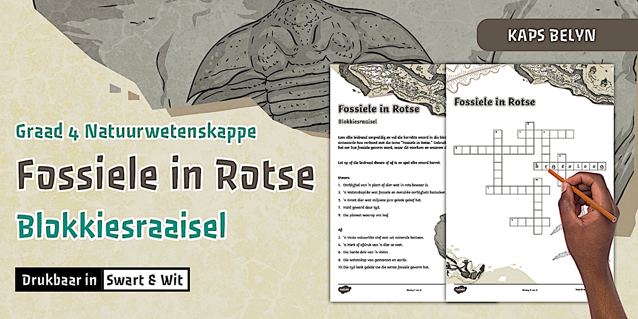 Graad 5 NW - KW 4 - Fossiele in Rotse - Blokkiesraaisel