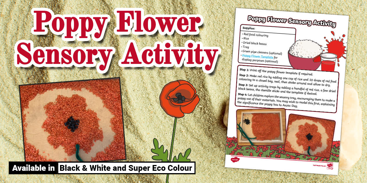 Poppy Activity Rice Poppy Flower Sensory Activity