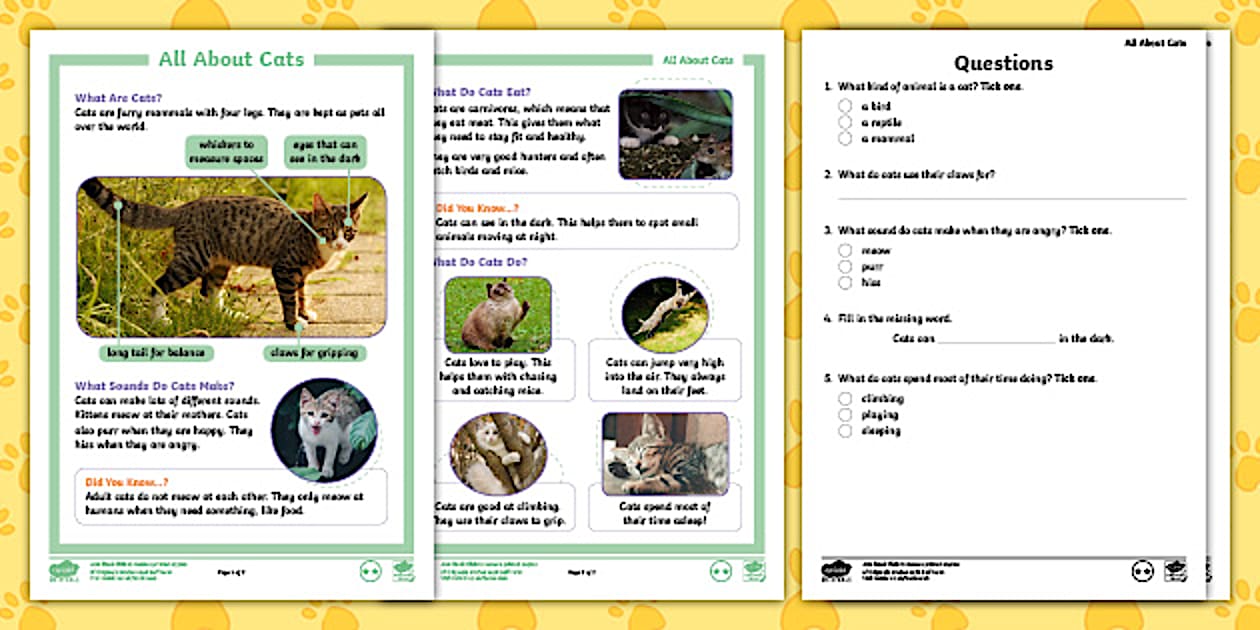 KS1 All About Cats NonFiction Differentiated Reading Comprehension