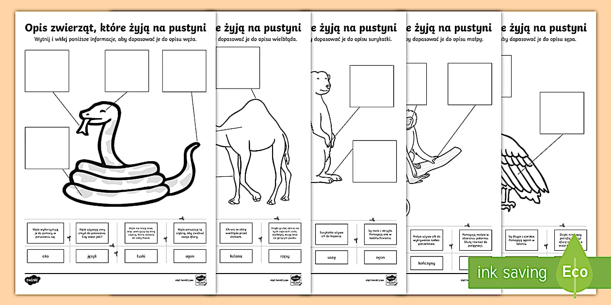 Karta pracy - Opis zwierząt, które żyją na pustyni