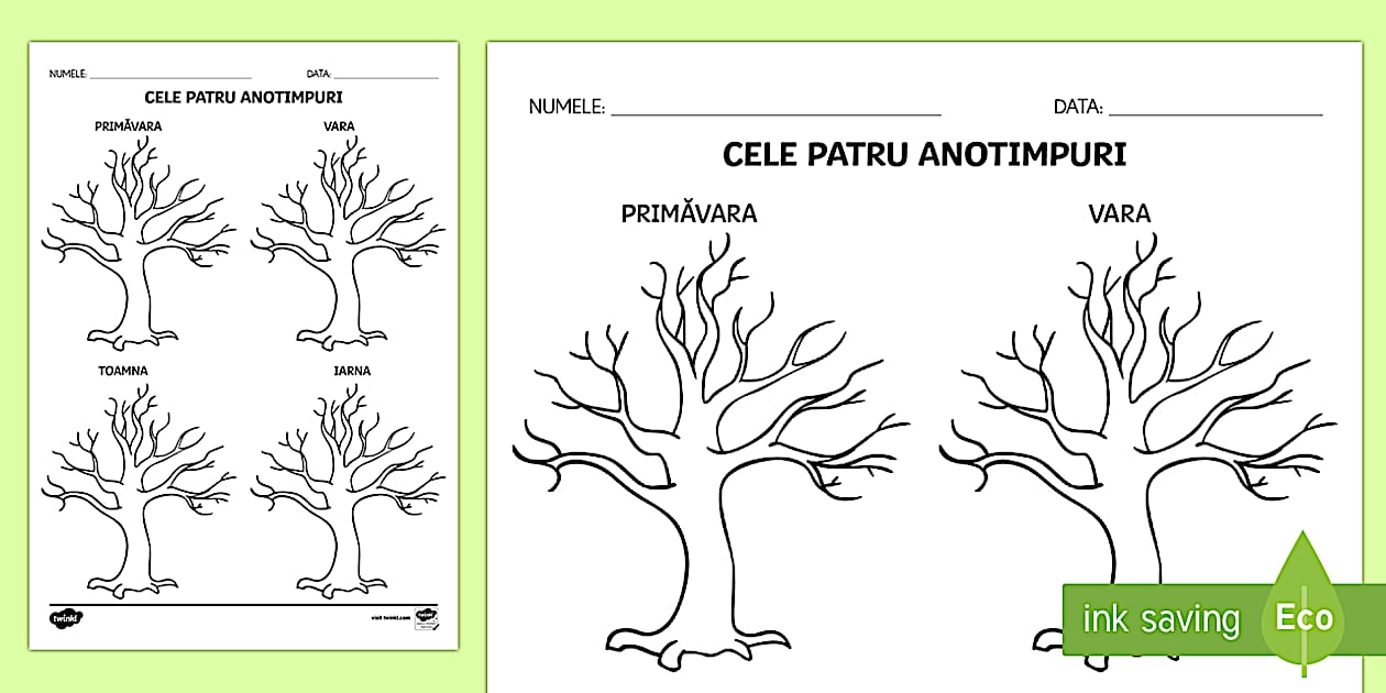 Copacul anotimpurilor - Fișă de lucru | Twinkl România