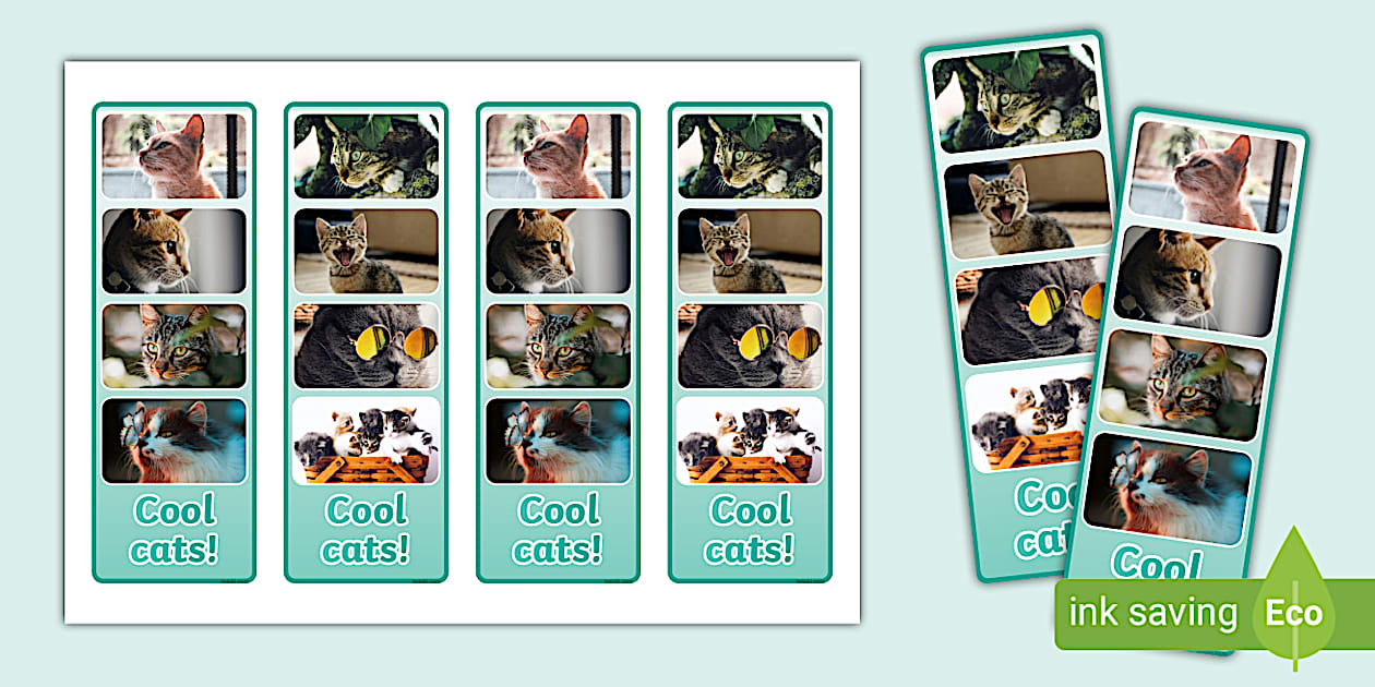 Cat Photo Strip Bookmarks (profesor hizo) - Twinkl
