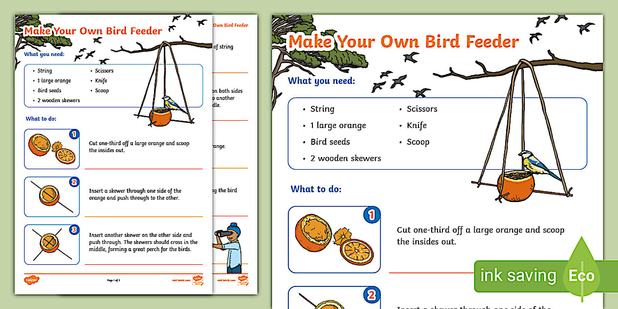 Make Your Own Bird Feeder (Hecho por educadores) - Twinkl
