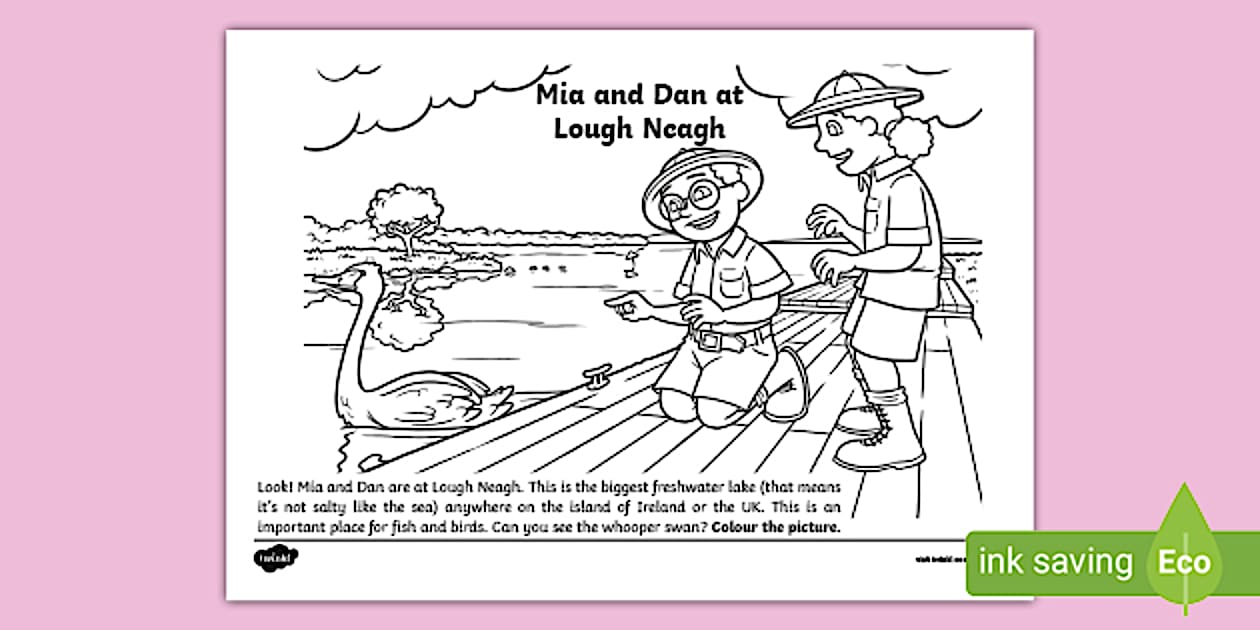 Mia and Dan at Lough Neagh Activity (teacher made) - Twinkl