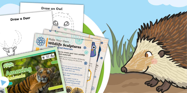 WILD ABOUT WILDLIFE MONTH -July 2024 - National Today