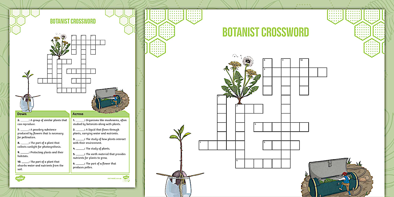 Botanist Crossword (teacher made) Twinkl