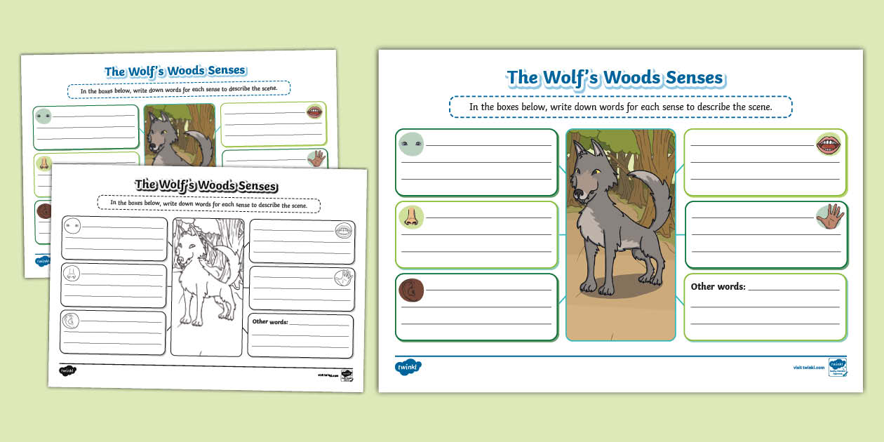 The Wolf's Woods Senses Mind Map (Teacher-Made) - Twinkl