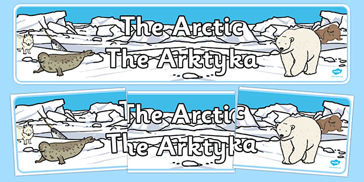 Dyslexic Arctic Display Banner Polish Translation - Twinkl