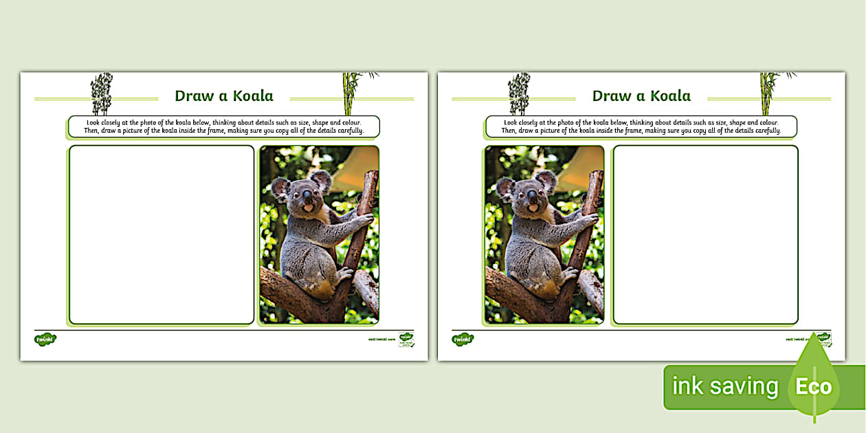 Draw a Koala Art Activity (teacher made) - Twinkl